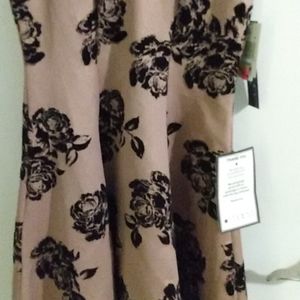 Women dress Trixxi clothing company Small  pink black flowers